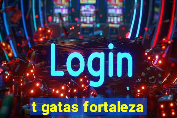 t gatas fortaleza